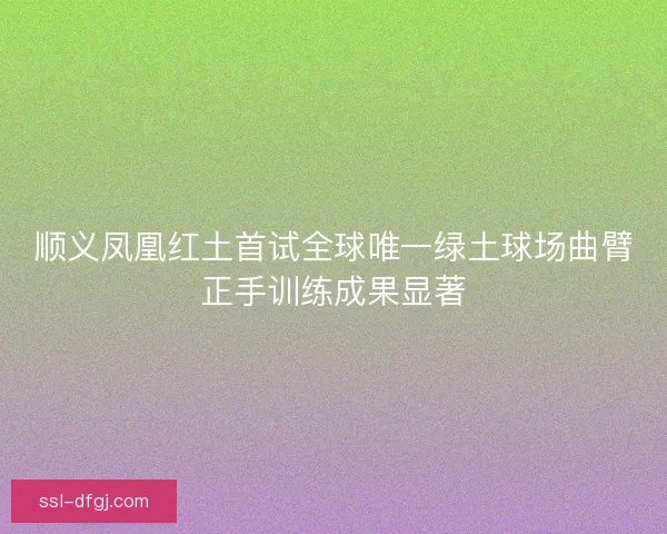 顺义凤凰红土首试全球唯一绿土球场曲臂正手训练成果显著